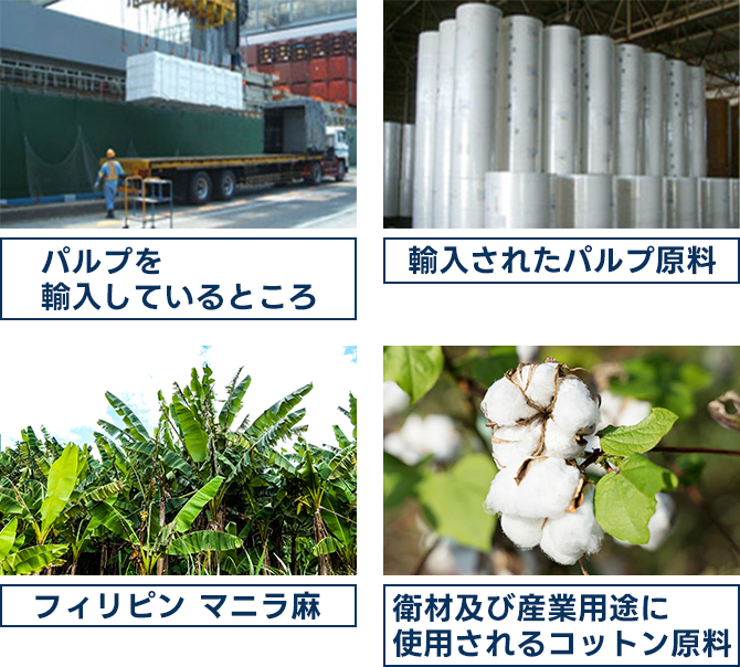 パルプを輸入しているところ/輸入されたパルプ原料/フィリピンマニラ麻/衛材及び産業用途に使用されるコットン原料のイメージ