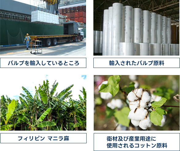 パルプを輸入しているところ/輸入されたパルプ原料/フィリピンマニラ麻/衛材及び産業用途に使用されるコットン原料のイメージ